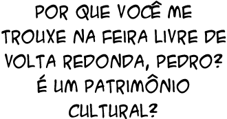 Por que voc me trouxe na feira livre de Volta Redonda, Pedro?   um patrim nio cultural?